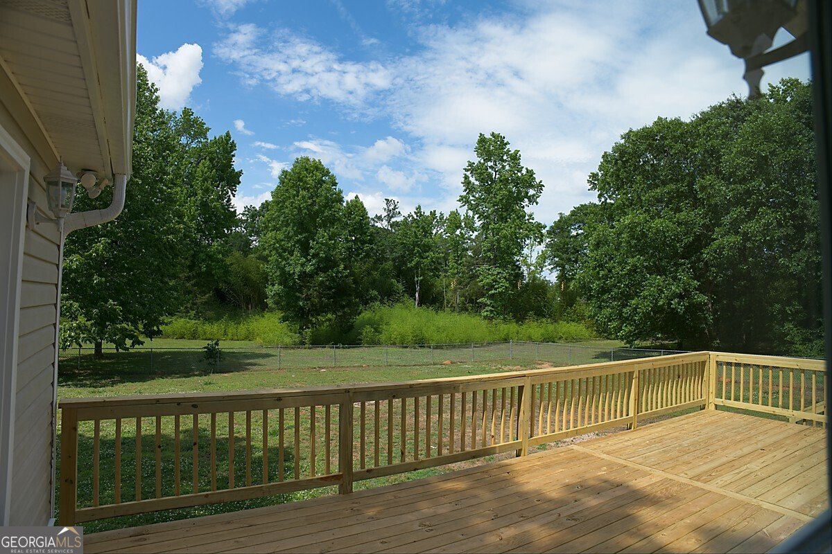414 Buchanan Road Griffin - Photo 53