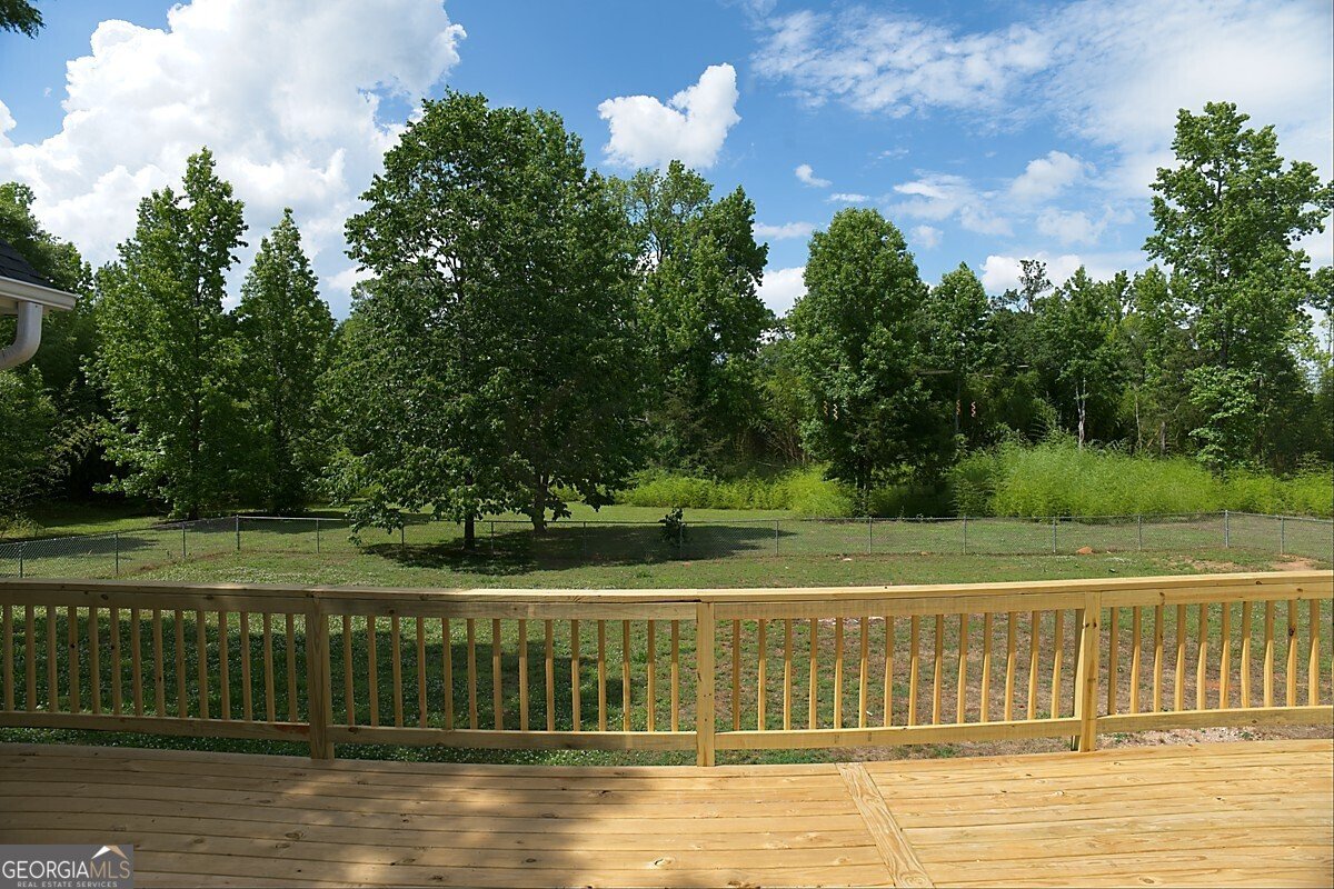 414 Buchanan Road Griffin - Photo 54