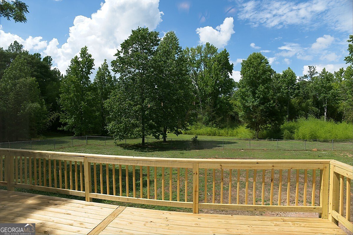 414 Buchanan Road Griffin - Photo 55