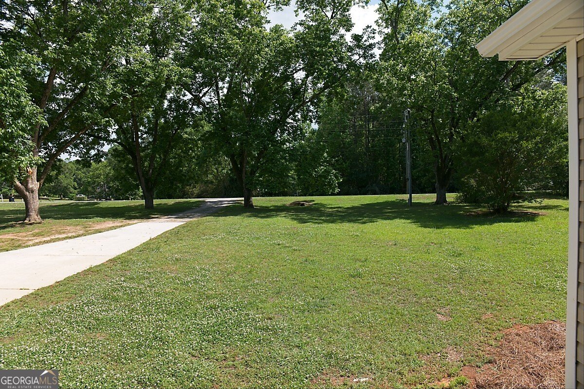 414 Buchanan Road Griffin - Photo 58