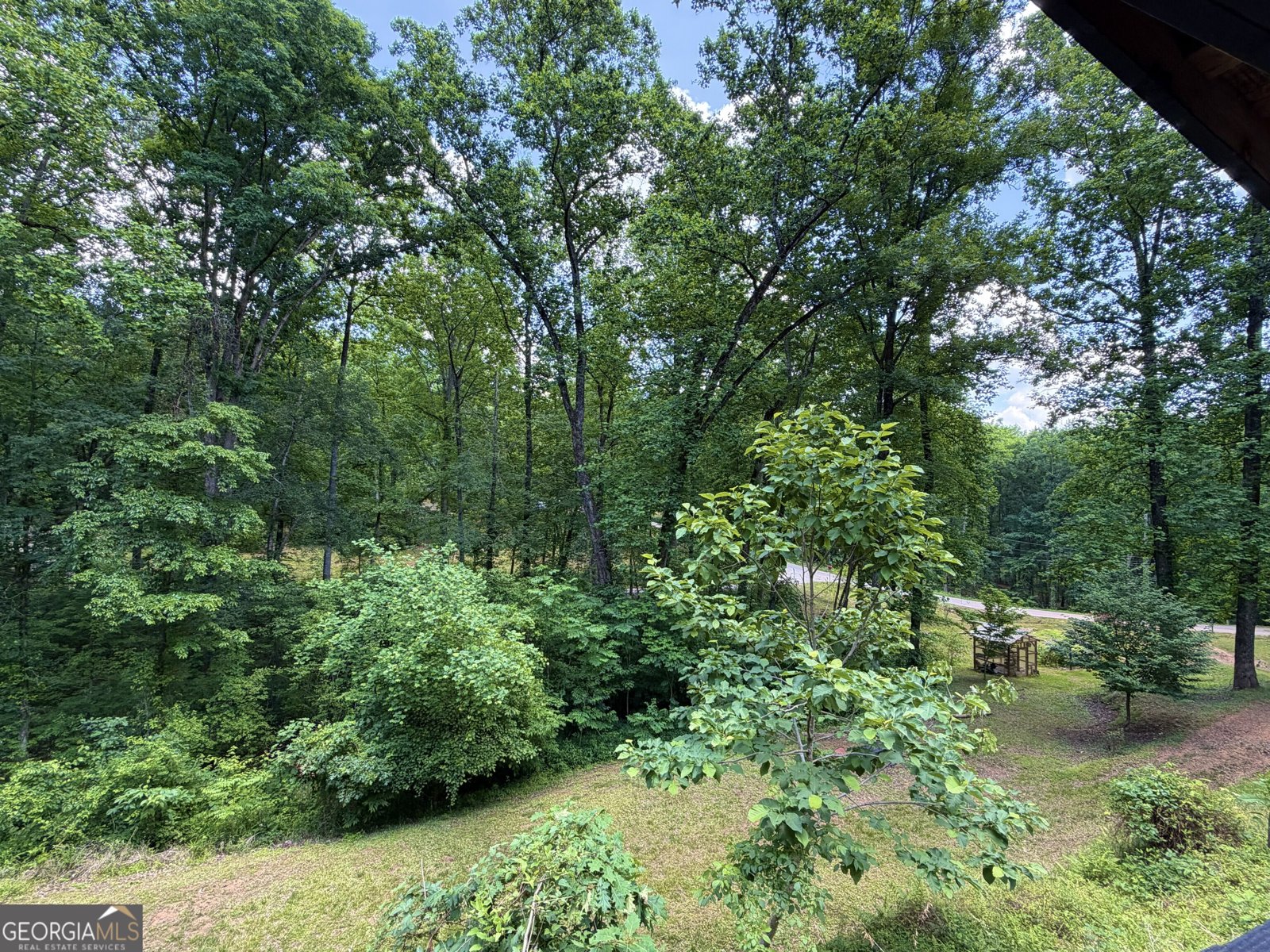 325 Fern Valley Trail Clarkesville - Photo 26