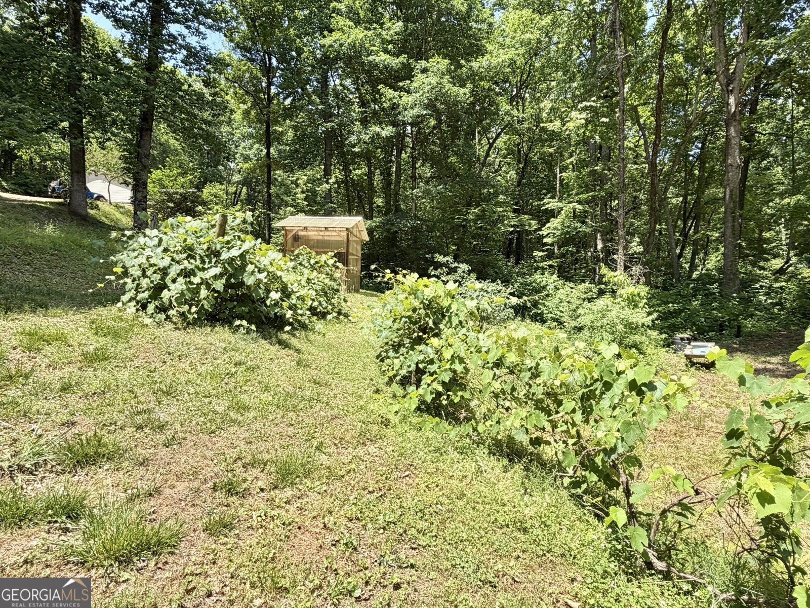 325 Fern Valley Trail Clarkesville - Photo 31