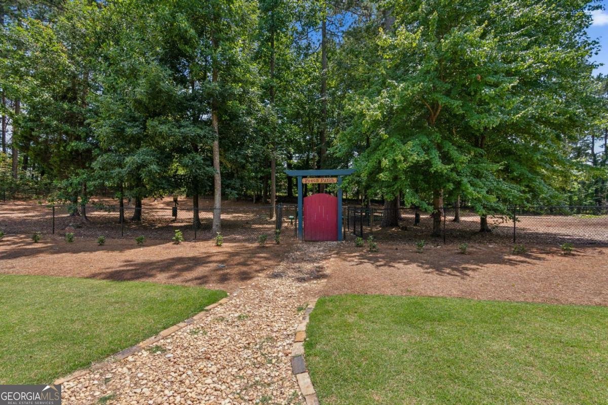 3635 Blue Cypress Cove Gainesville - Photo 46