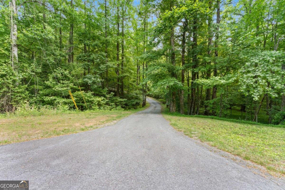 714 Panorama Drive Sautee Nacoochee - Photo 46