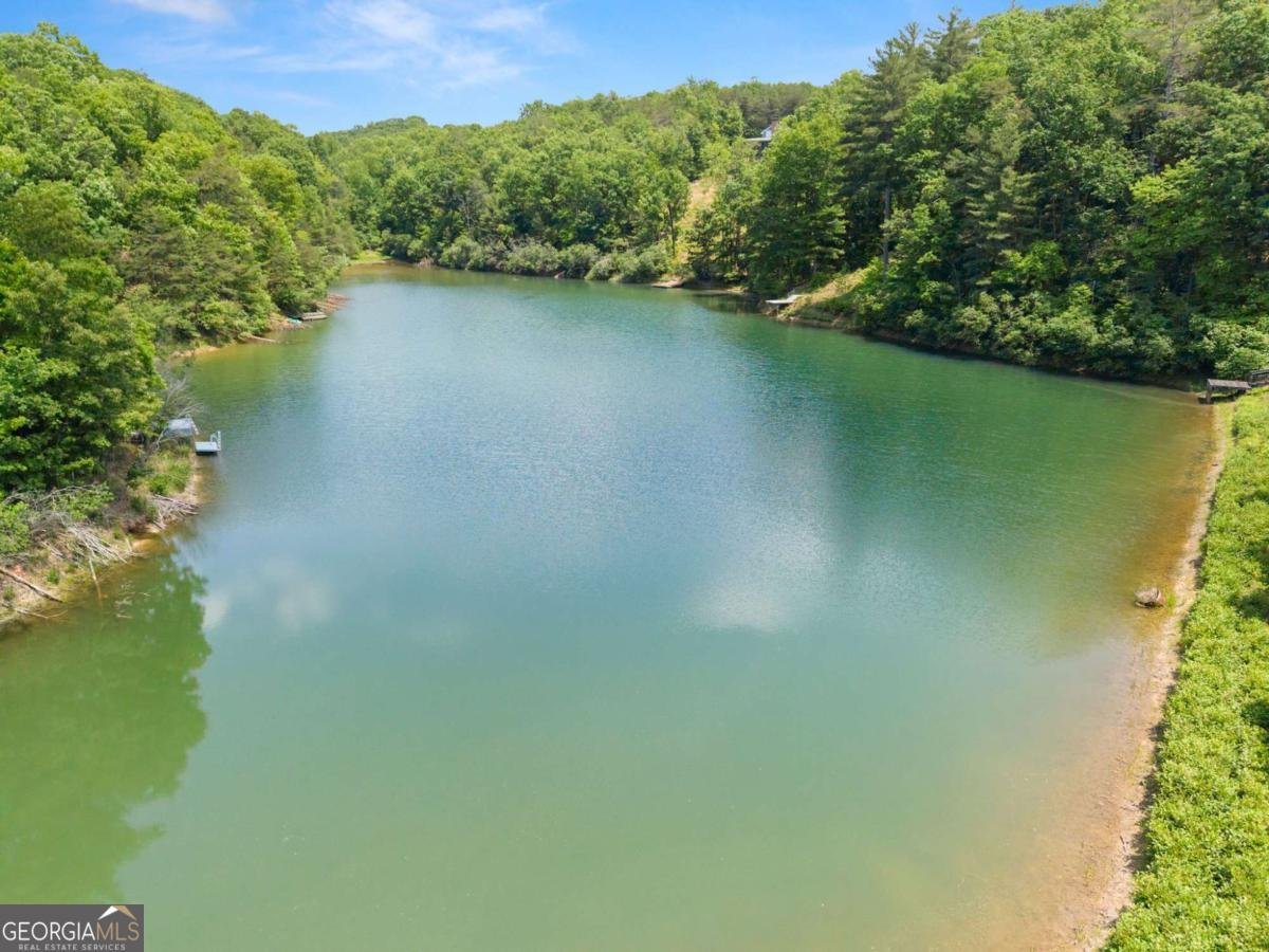 714 Panorama Drive Sautee Nacoochee - Photo 47