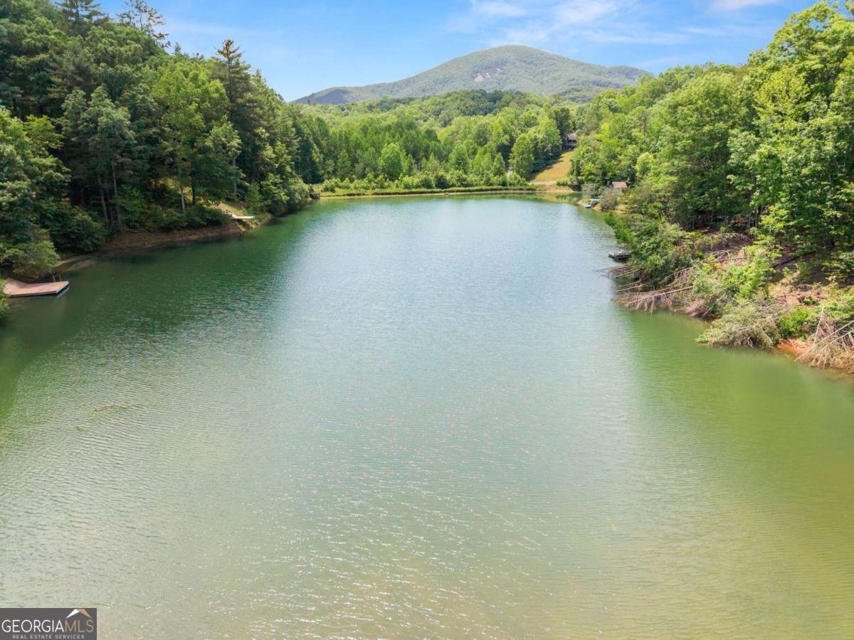 714 Panorama Drive Sautee Nacoochee - Photo 48