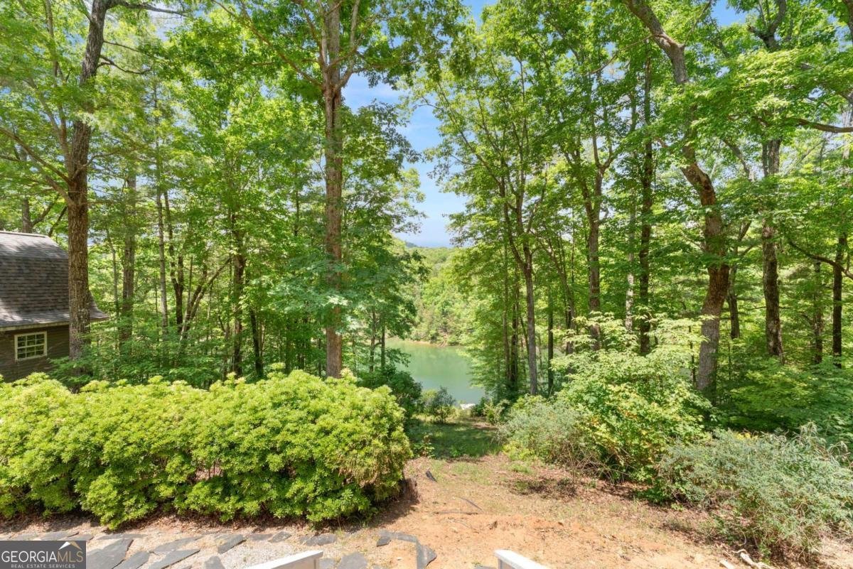 714 Panorama Drive Sautee Nacoochee - Photo 6