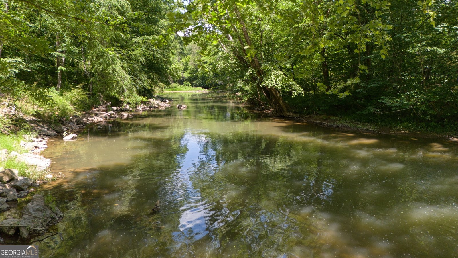 610 Kings Bridge Road Cave Spring - Photo 66