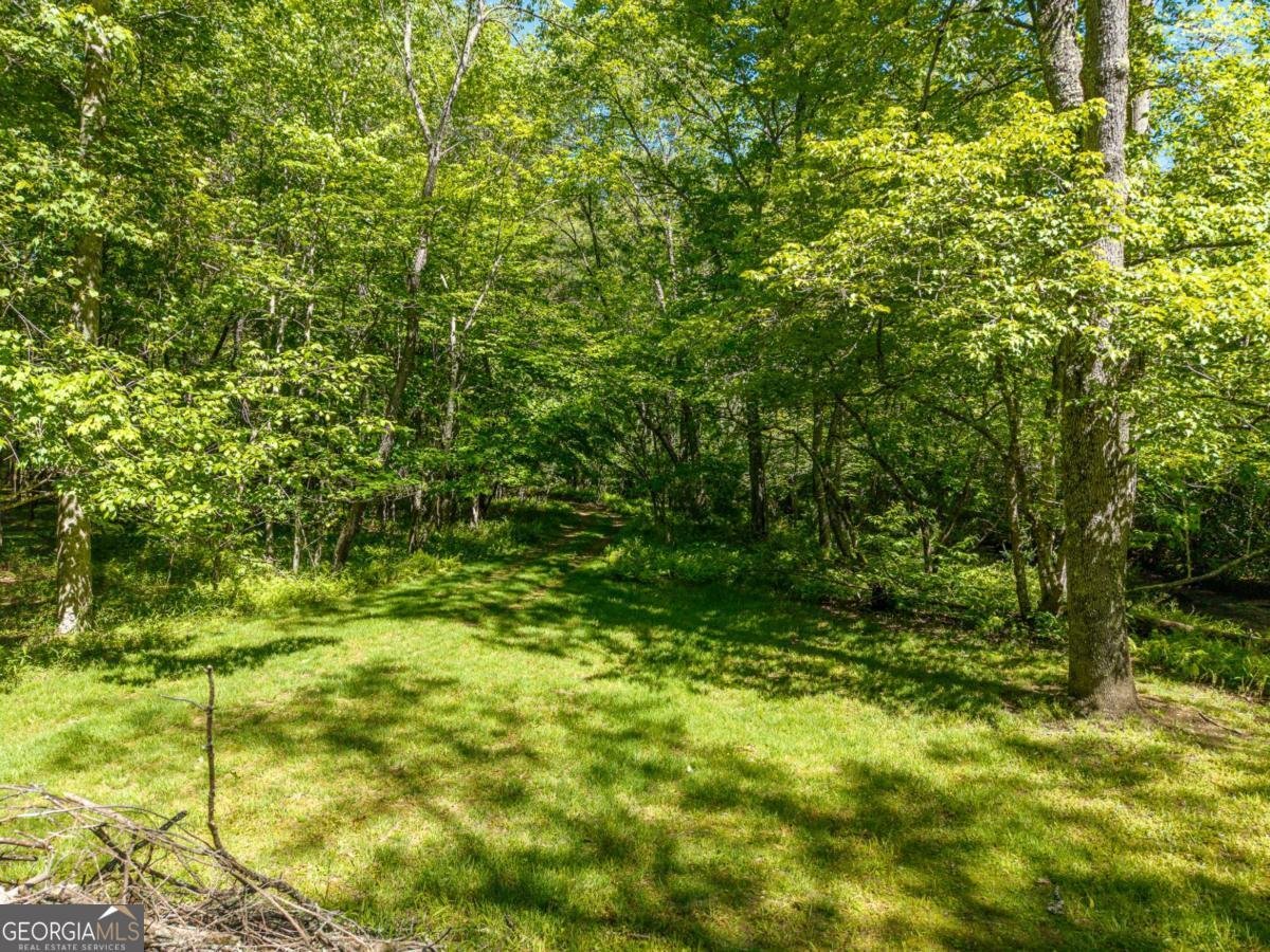 86 Tipton Court Cherry Log - Photo 27