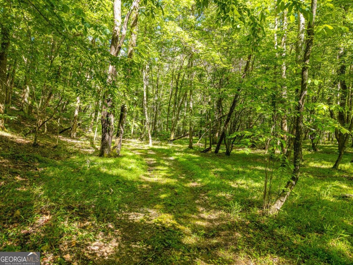 86 Tipton Court Cherry Log - Photo 42