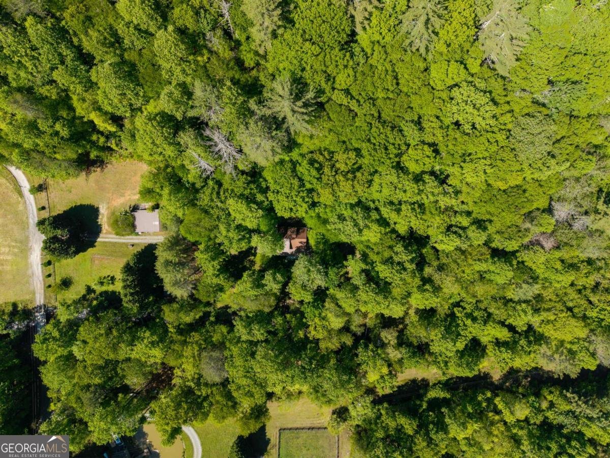 86 Tipton Court Cherry Log - Photo 51
