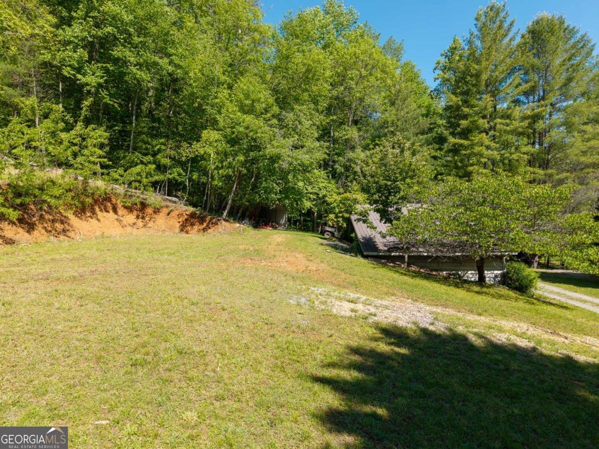 86 Tipton Court Cherry Log - Photo 65