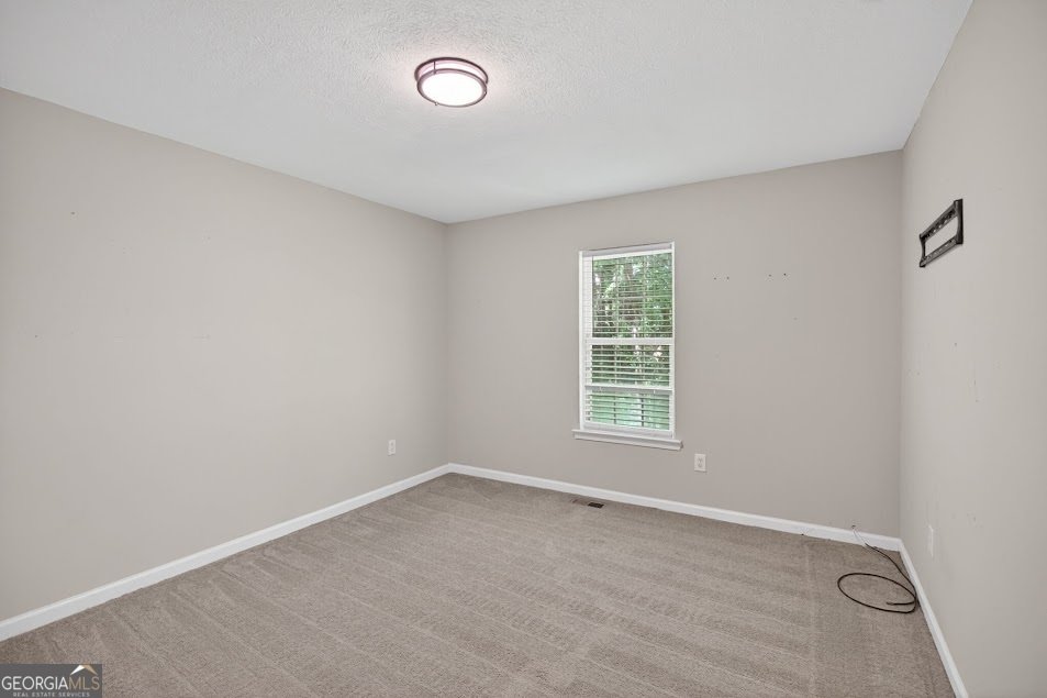 110 Fowler Drive Bowdon - Photo 16