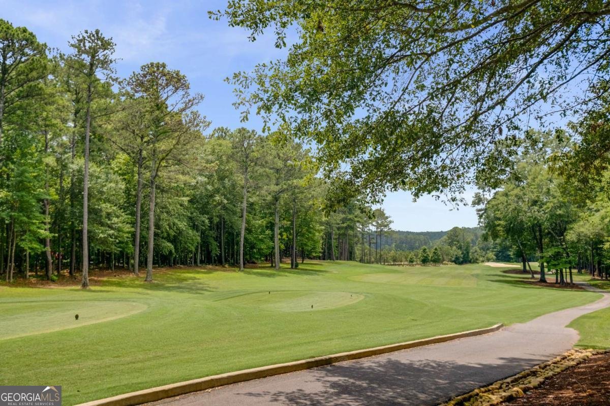 409 Taberon Road Peachtree City - Photo 46