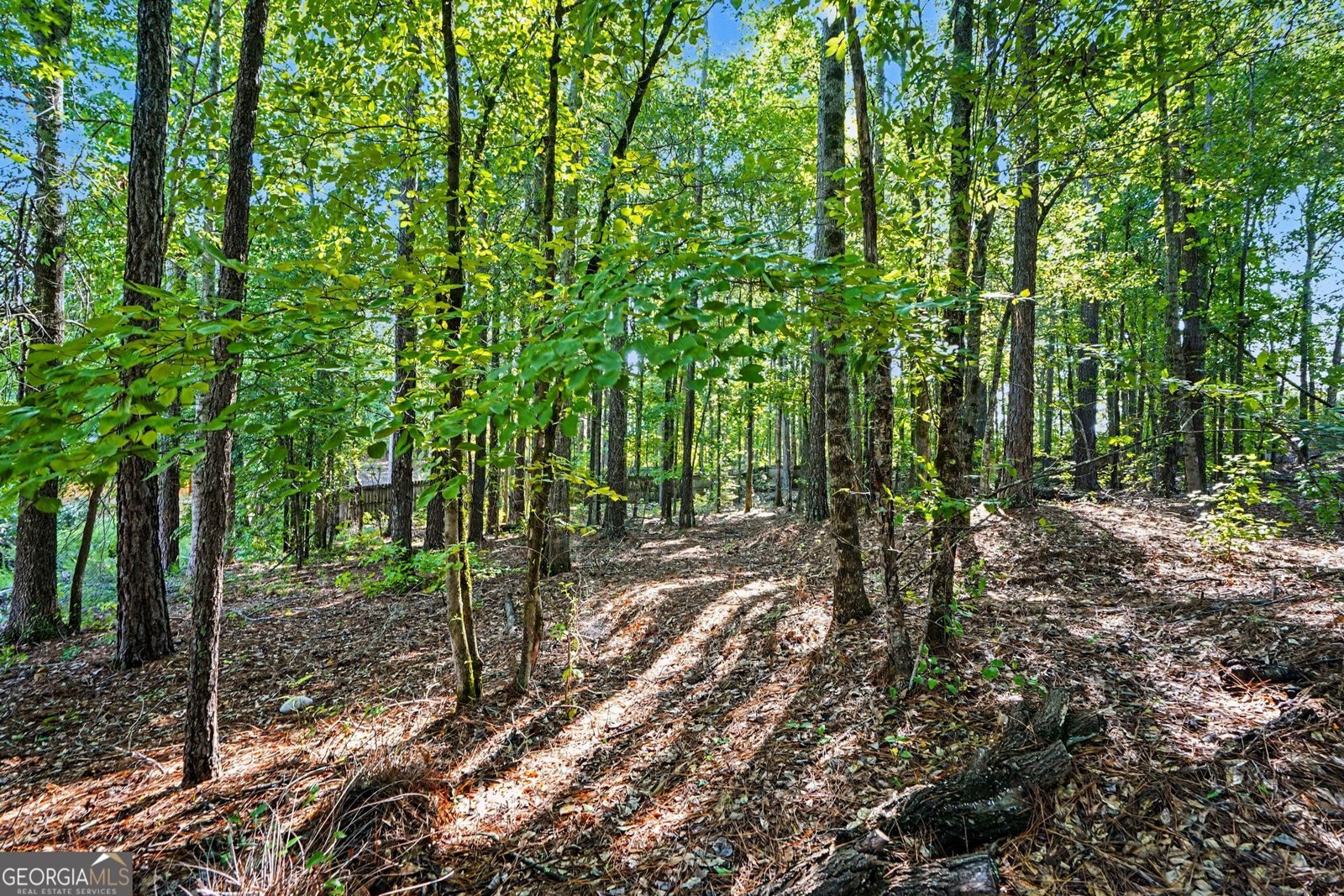160 Brittany Lane Senoia - Photo 45