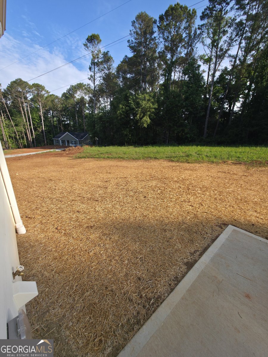 120 Dove Valley Lane Athens - Photo 12