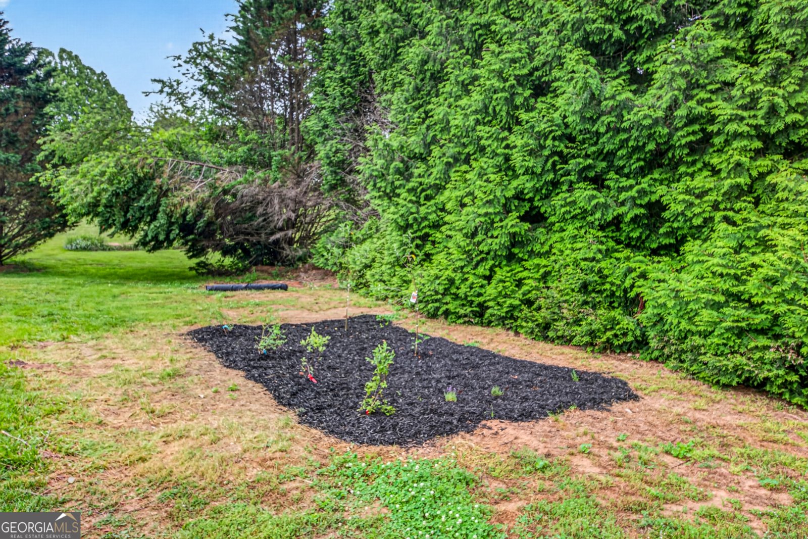 221 Grand Magnolia Lane Clarkesville - Photo 56