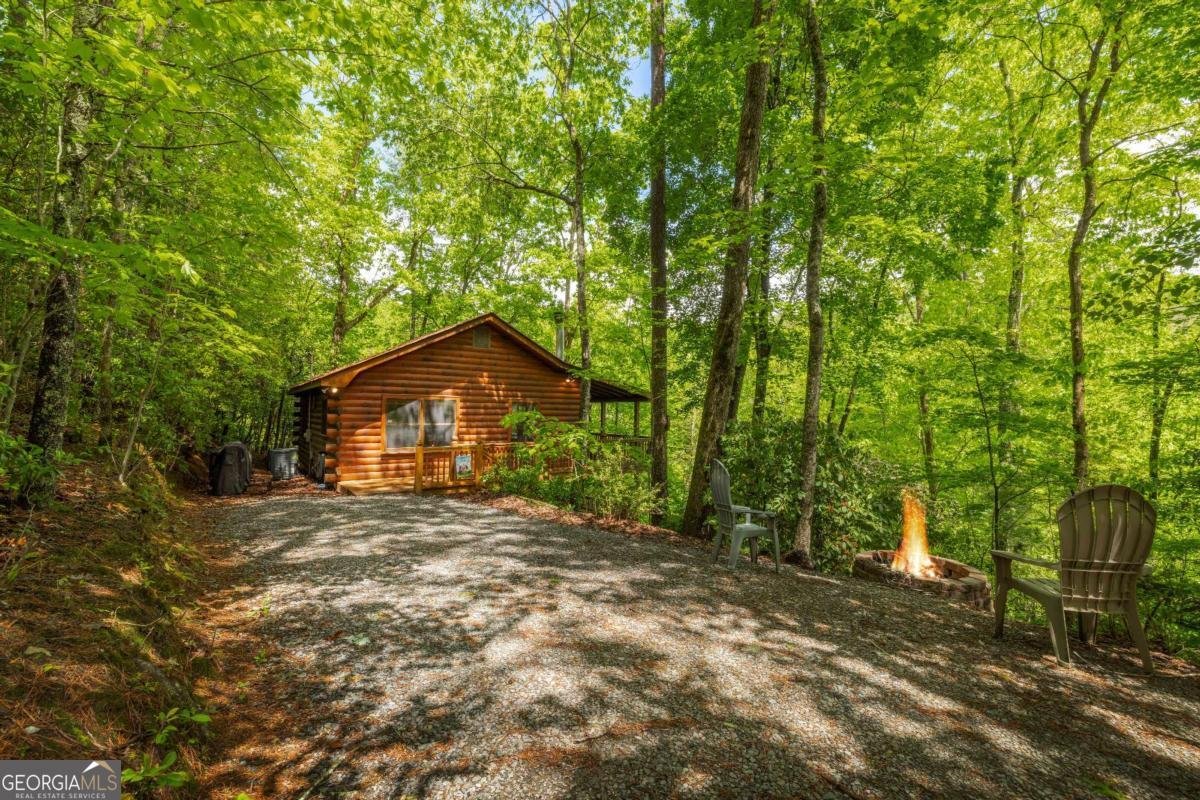 203 Mountain View Drive Cherry Log - Photo 25