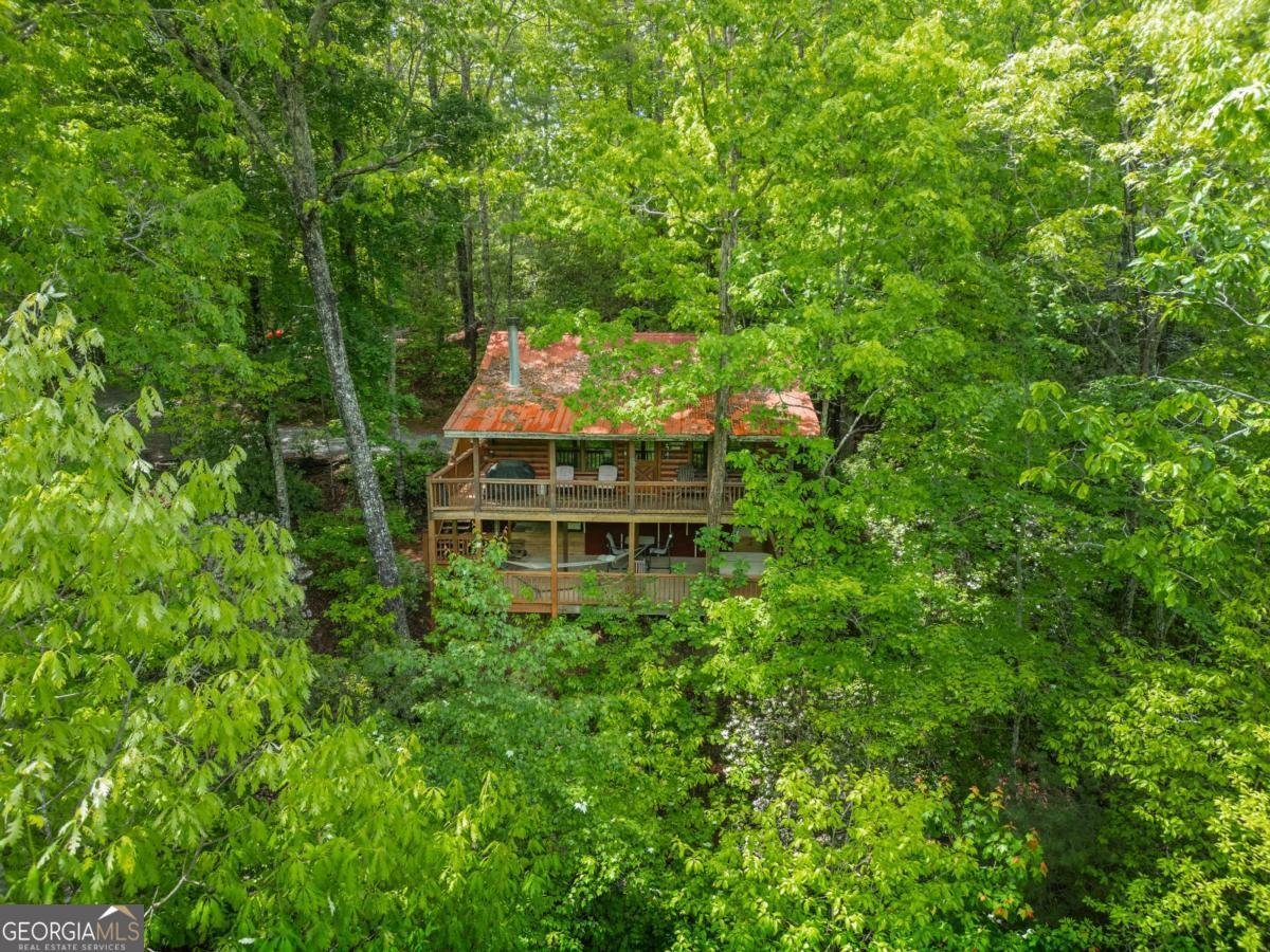 203 Mountain View Drive Cherry Log - Photo 26