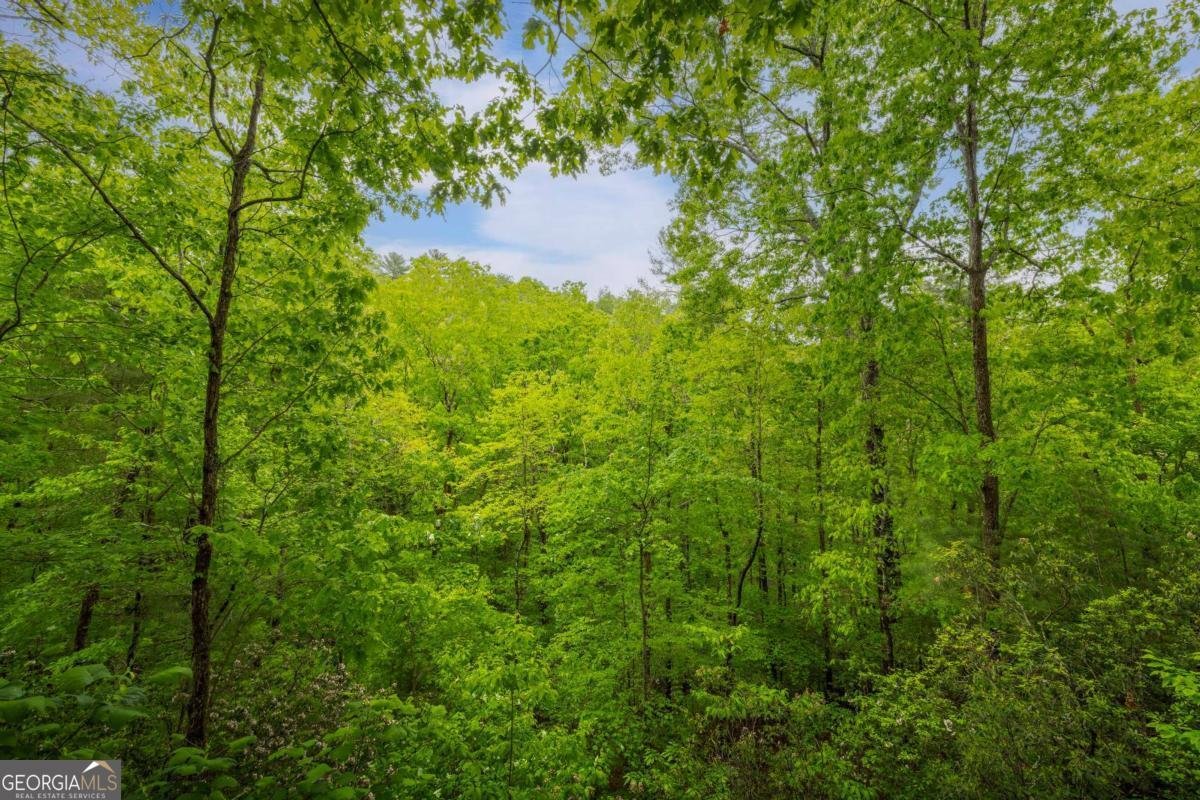 203 Mountain View Drive Cherry Log - Photo 27