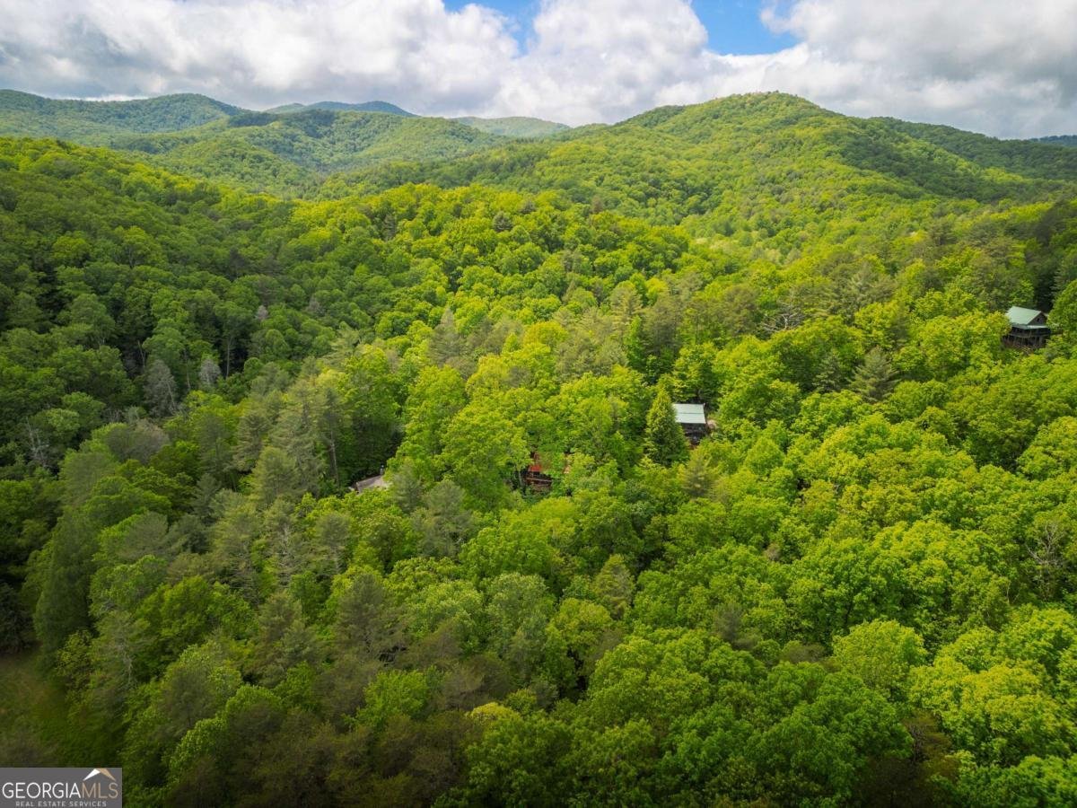 203 Mountain View Drive Cherry Log - Photo 28