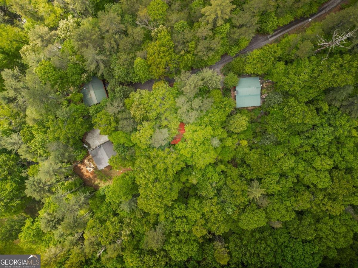 203 Mountain View Drive Cherry Log - Photo 30