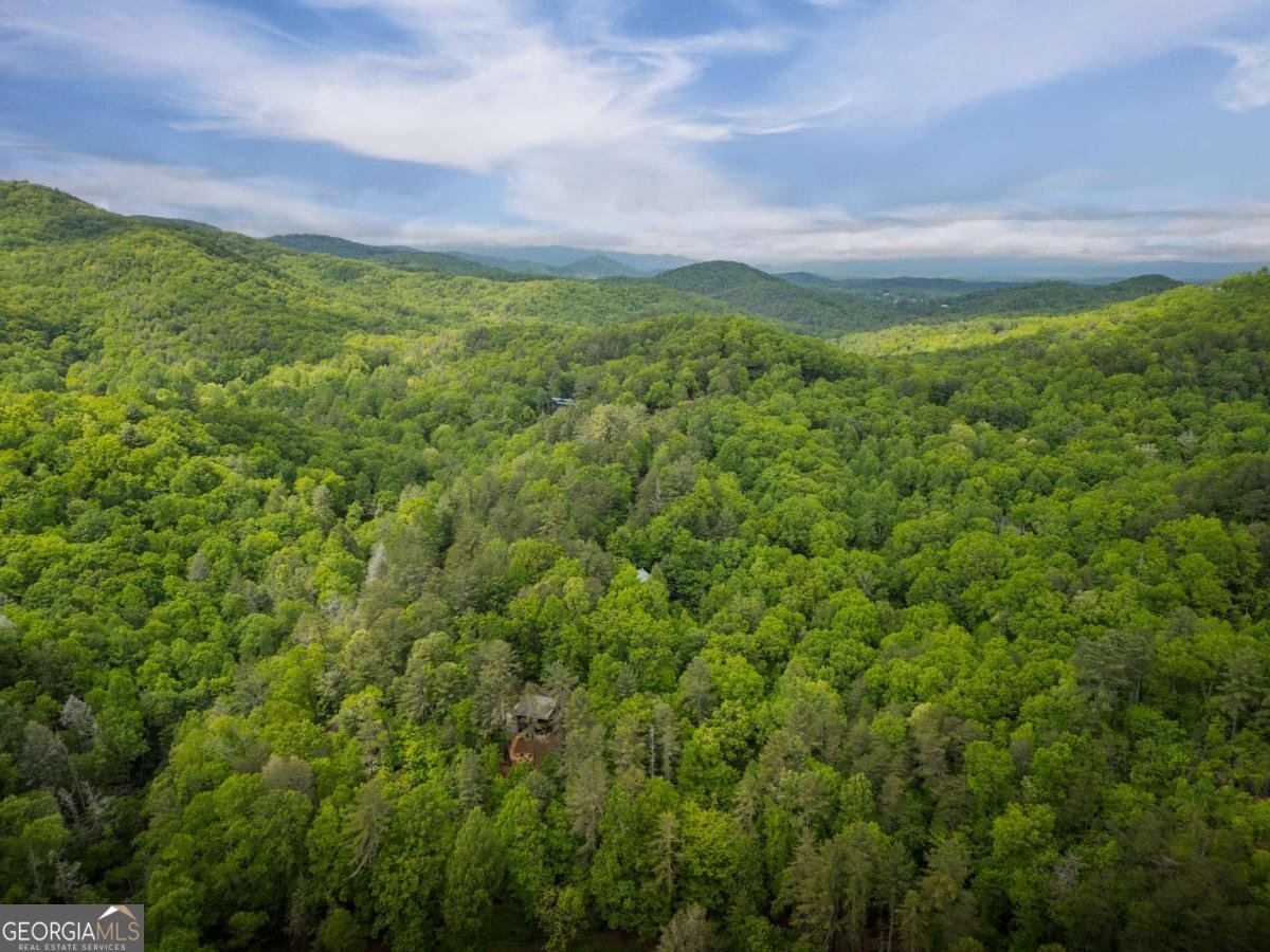203 Mountain View Drive Cherry Log - Photo 32