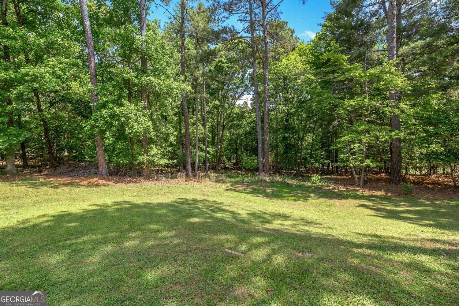 3404 Springdale Forrest Avenue Gainesville - Photo 37