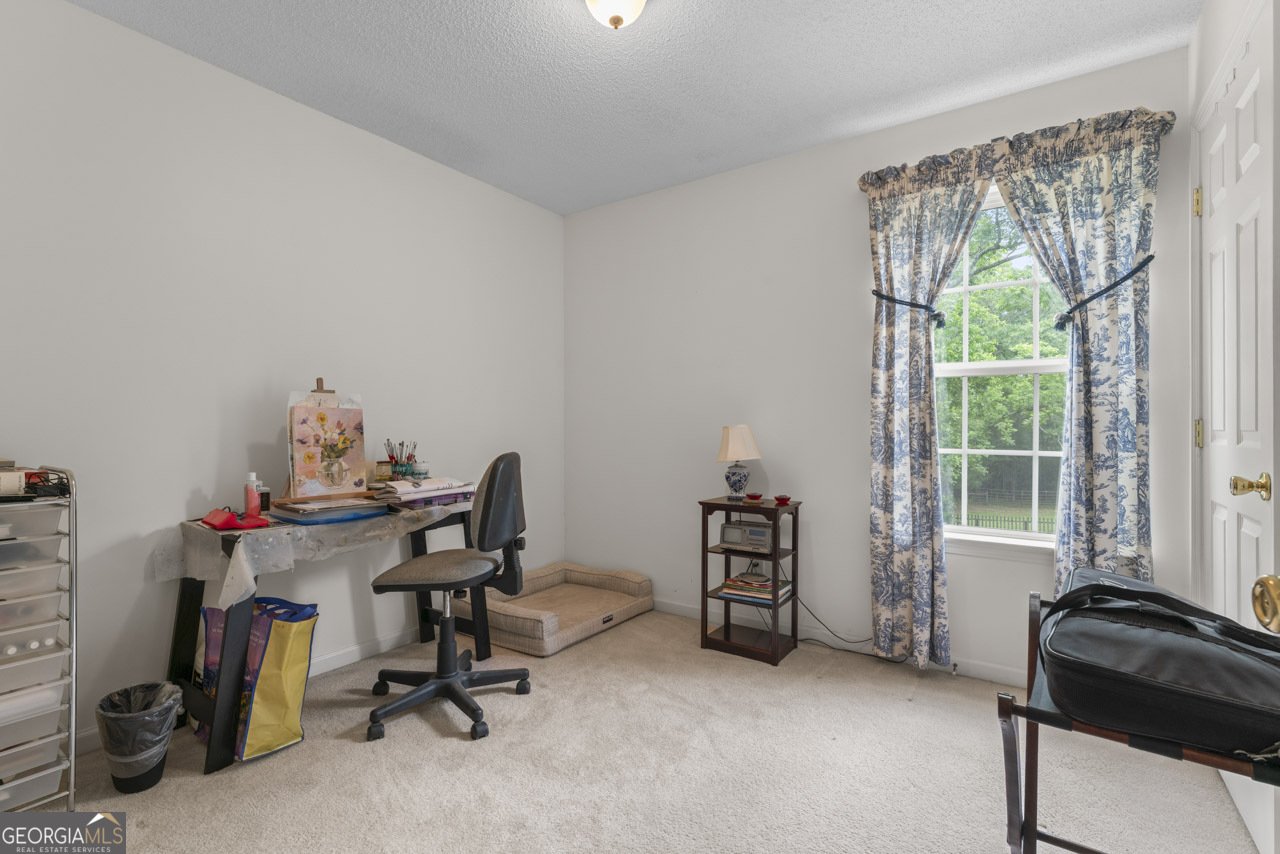 201 LAWRENCE MILL ROAD MOLENA - Photo 19