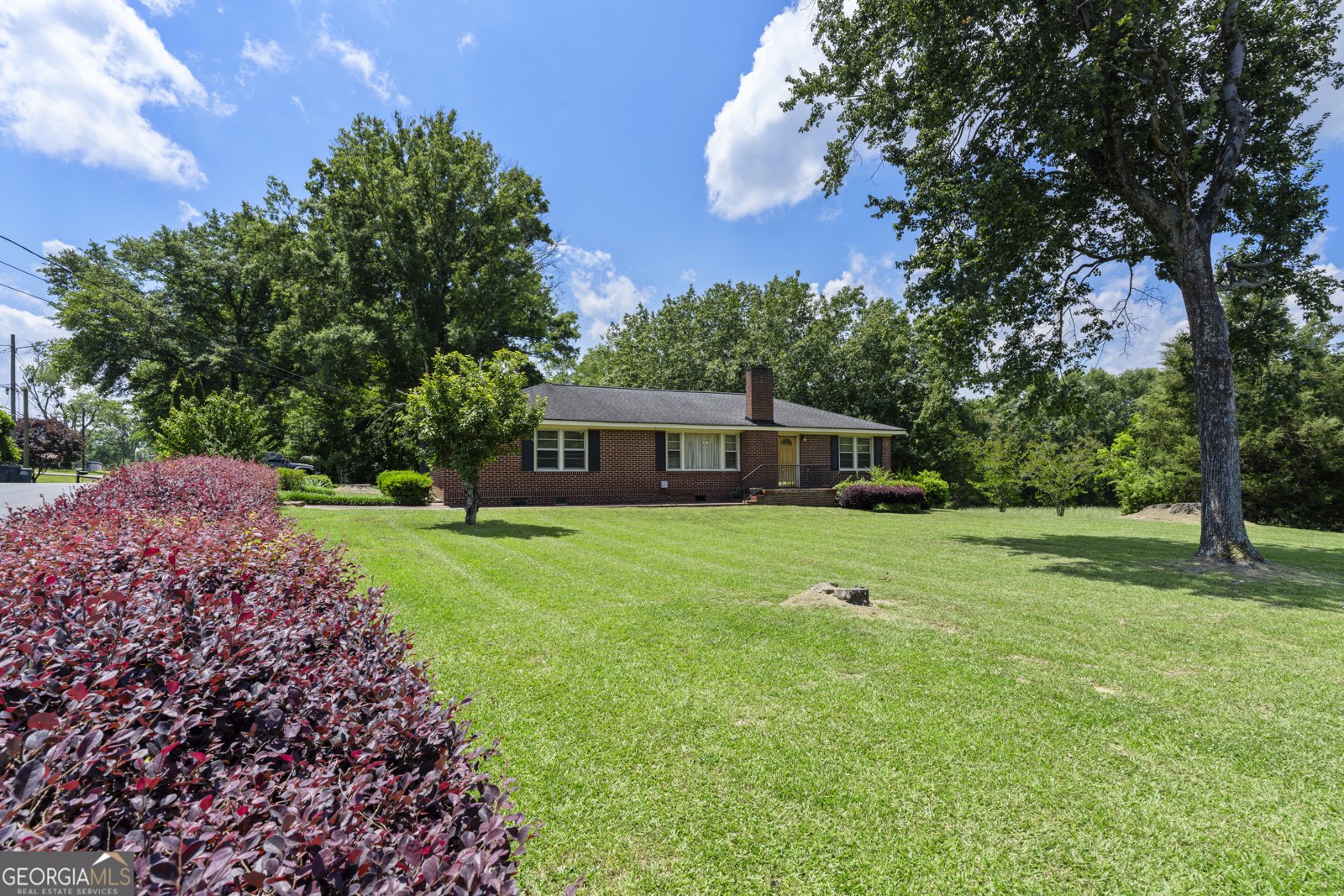 126 Jones Street Summerville - Photo 33