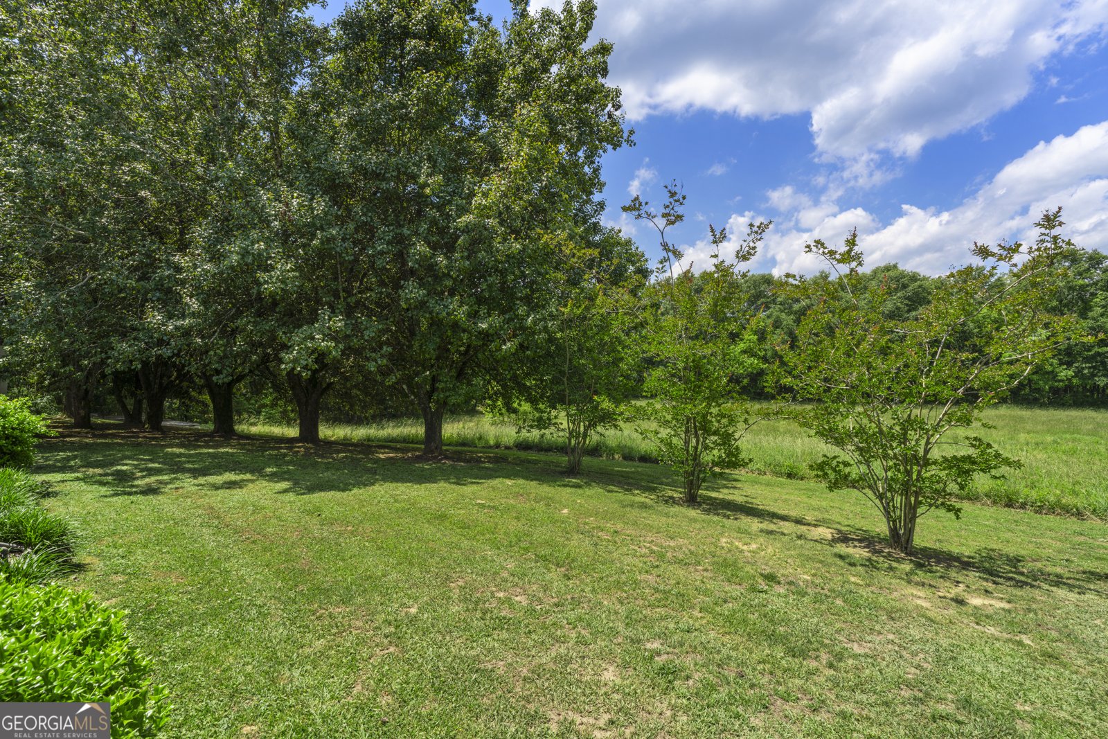 126 Jones Street Summerville - Photo 41