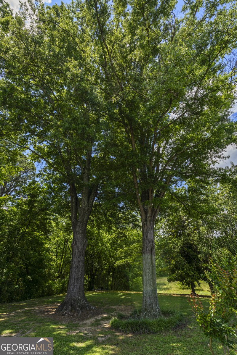 126 Jones Street Summerville - Photo 42
