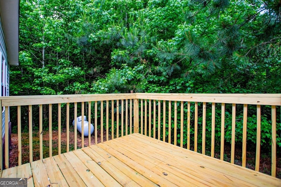 74 Spring Lane Carrollton - Photo 46