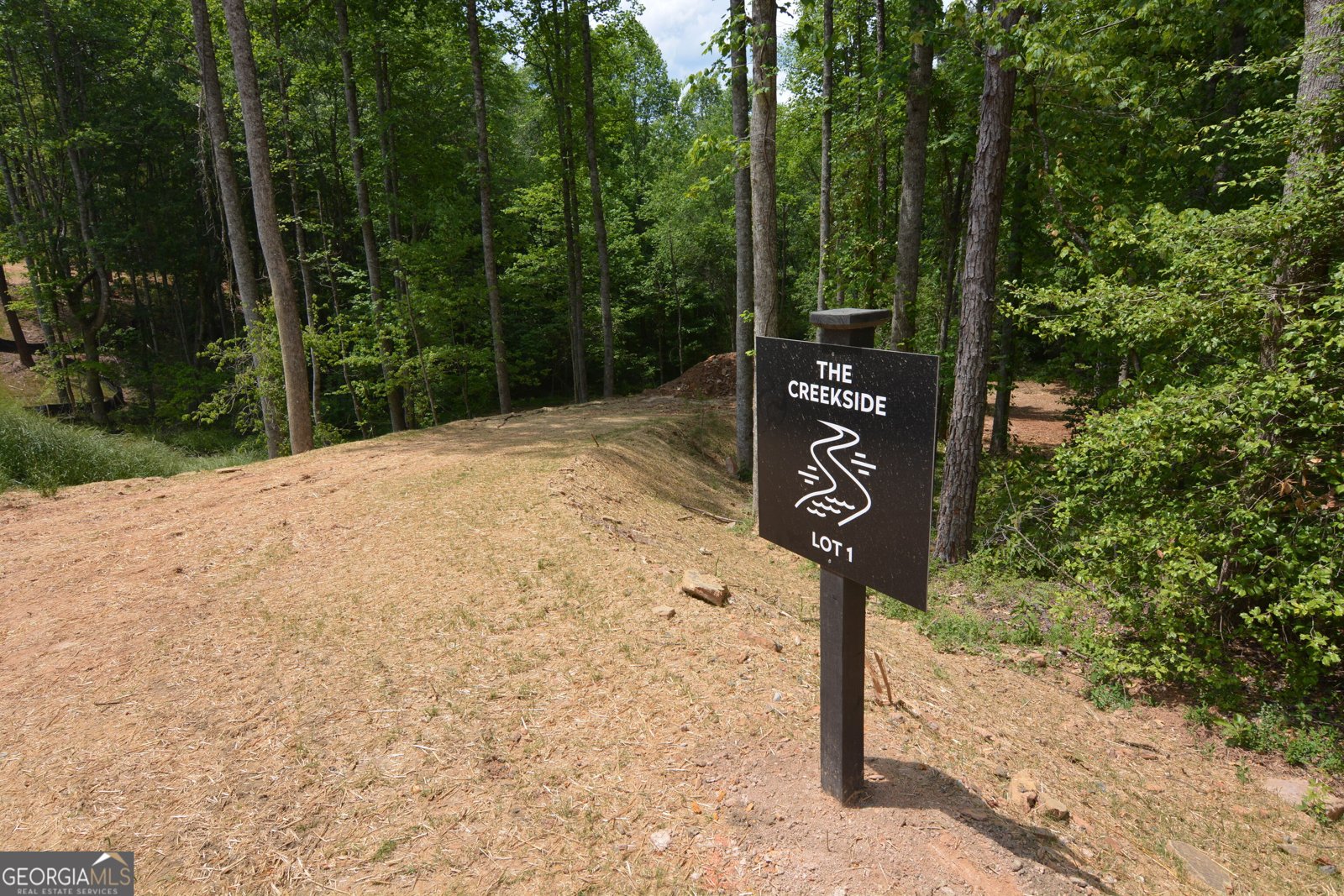 LOT 1 Murphy Hwy (Spur 60) Mineral Bluff - Photo 13