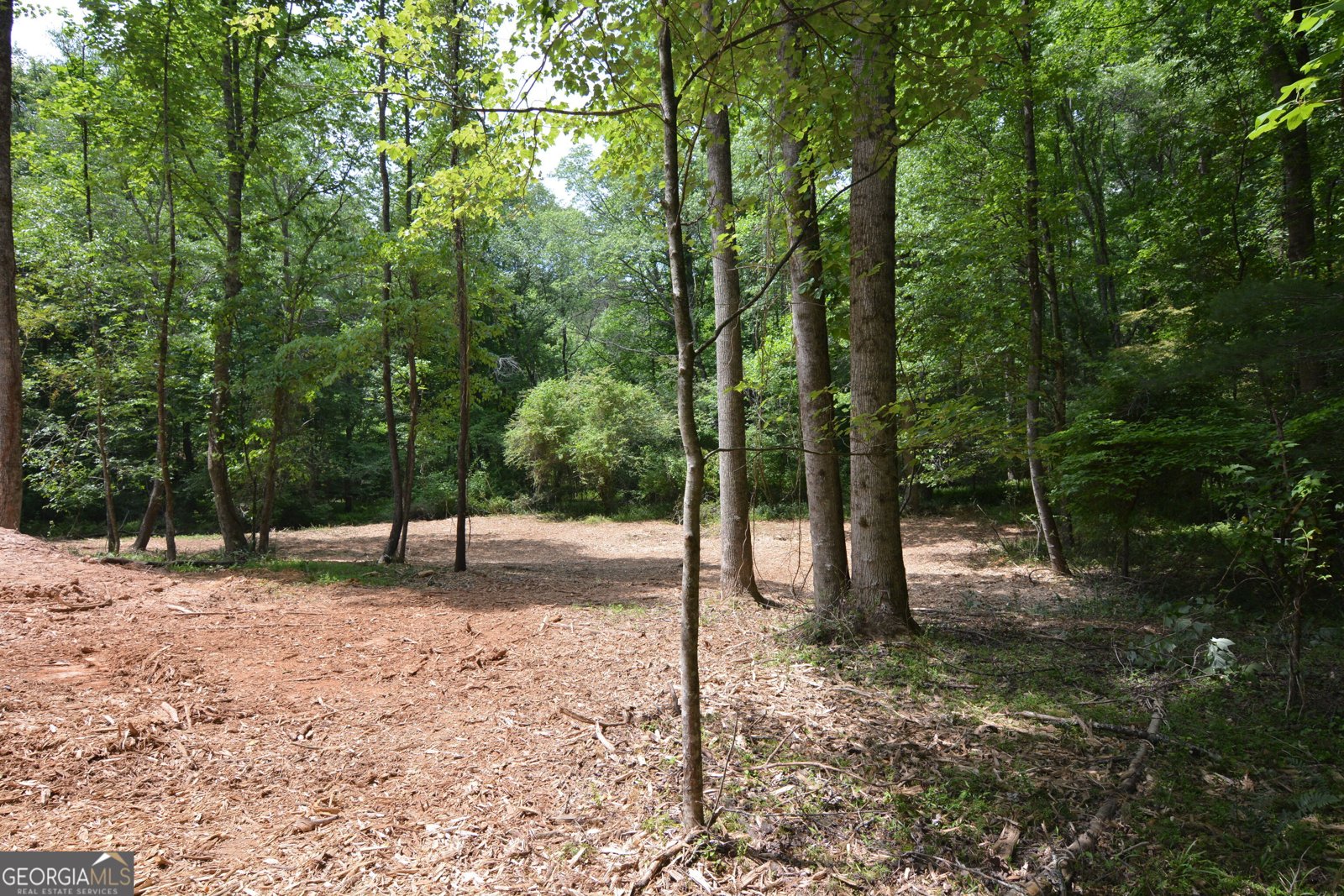 LOT 1 Murphy Hwy (Spur 60) Mineral Bluff - Photo 14