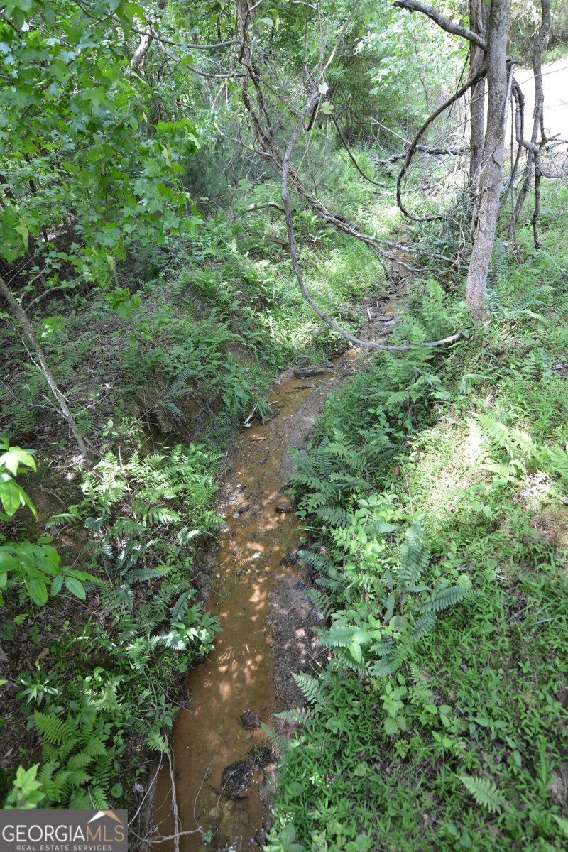 LOT 1 Murphy Hwy (Spur 60) Mineral Bluff - Photo 15