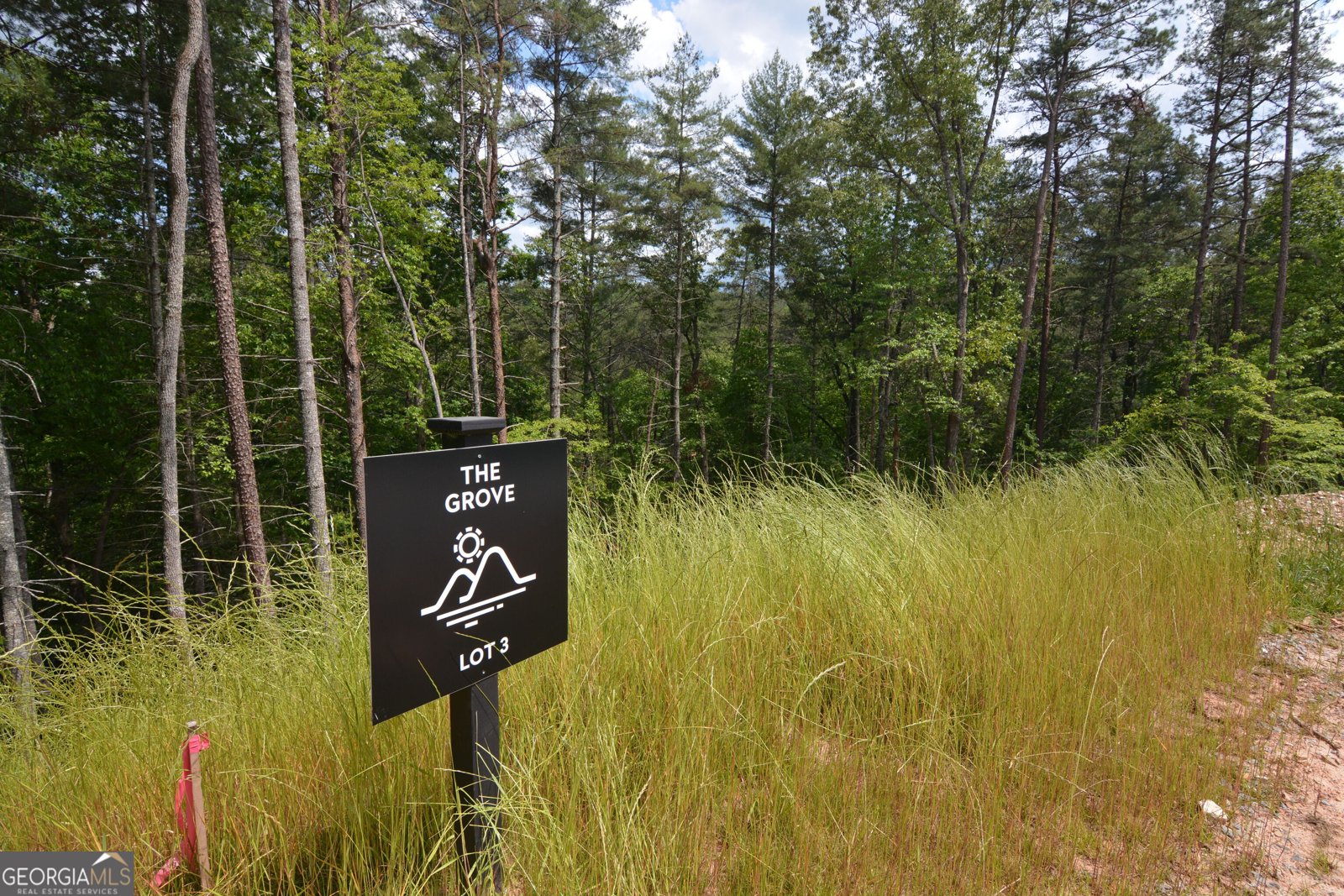 LOT 3 Murphy Hwy (Spur 60) Mineral Bluff - Photo 12