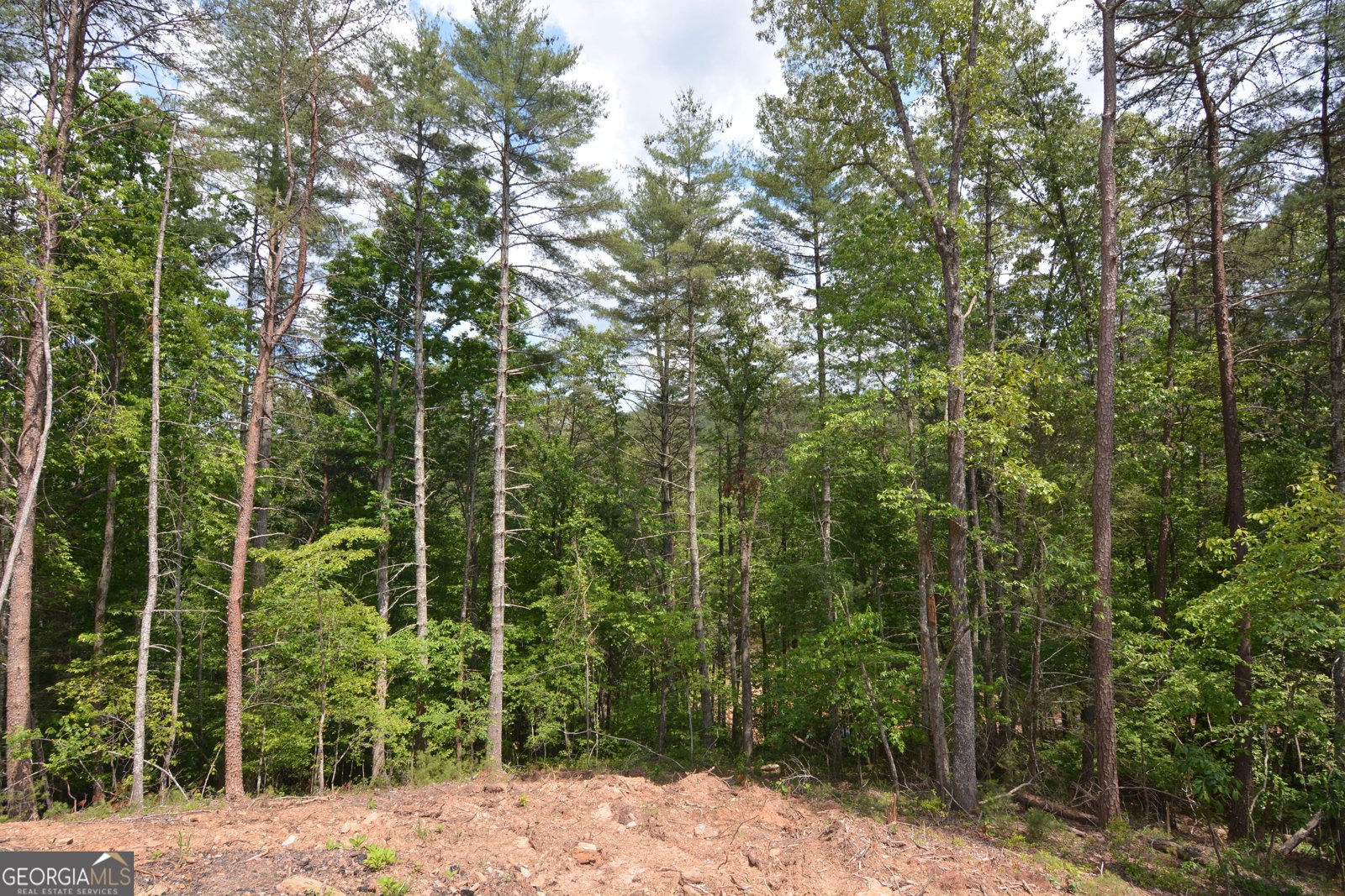 LOT 3 Murphy Hwy (Spur 60) Mineral Bluff - Photo 13