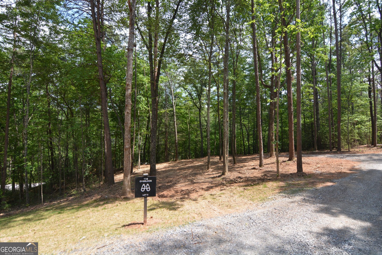 LOT 5 Murphy Hwy (Spur 60) Mineral Bluff - Photo 13