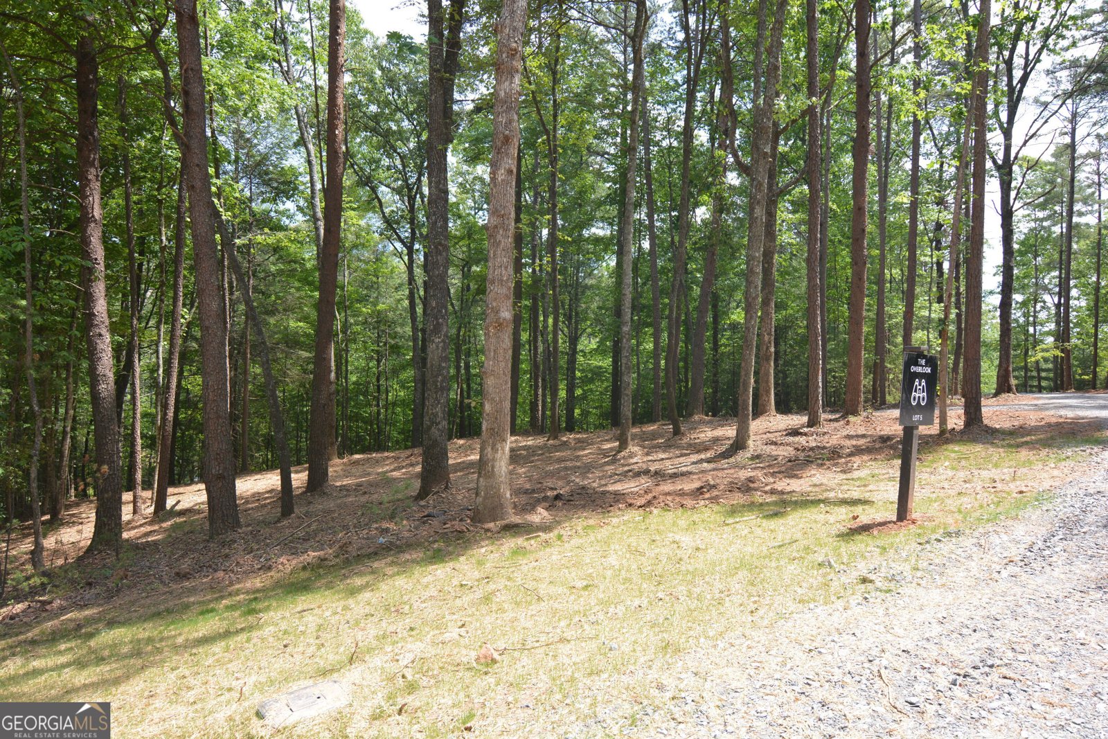 LOT 5 Murphy Hwy (Spur 60) Mineral Bluff - Photo 14