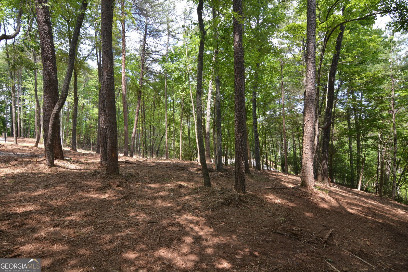 LOT 5 Murphy Hwy (Spur 60) Mineral Bluff - Photo 15