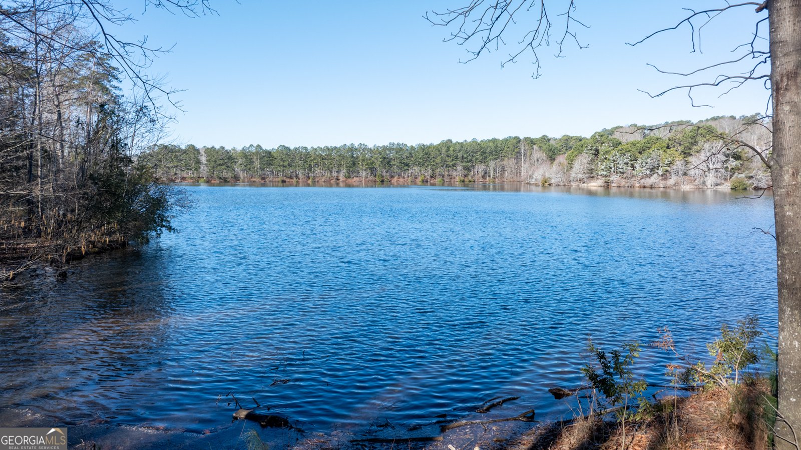 1003 Mickleton Lane Peachtree City - Photo 131