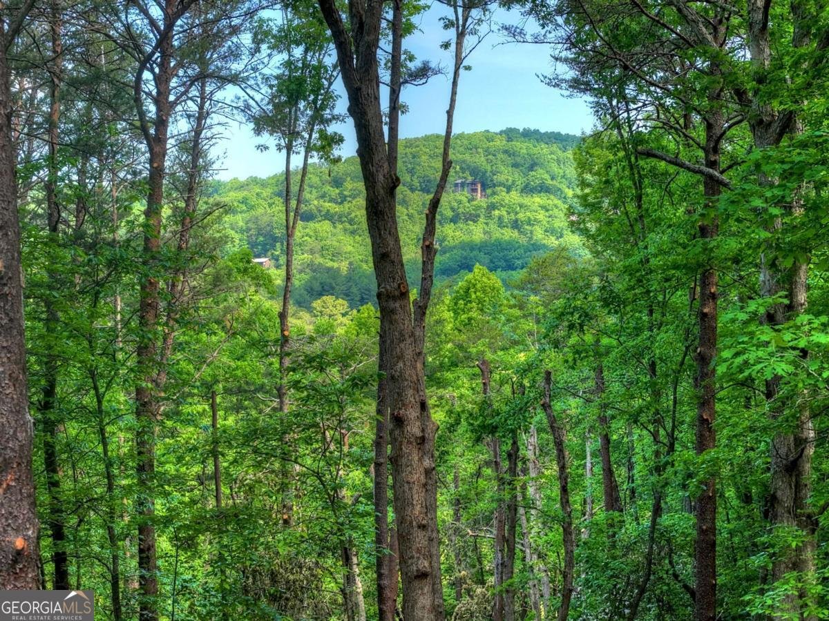 328 Crabapple Drive Blue Ridge - Photo 14