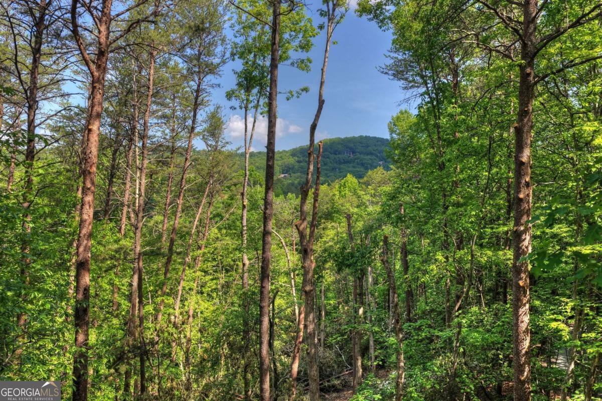 328 Crabapple Drive Blue Ridge - Photo 40