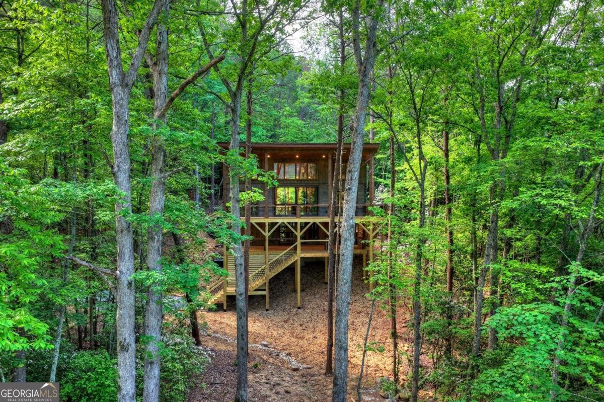 328 Crabapple Drive Blue Ridge - Photo 56