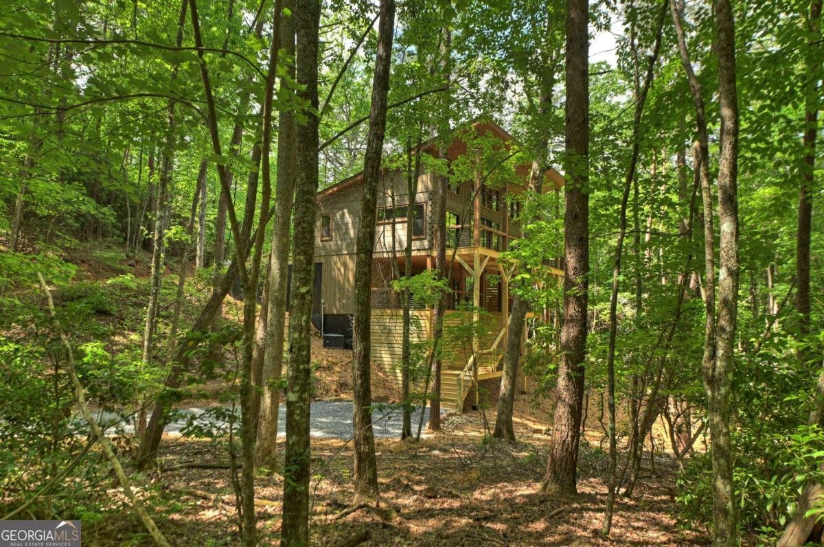 328 Crabapple Drive Blue Ridge - Photo 62