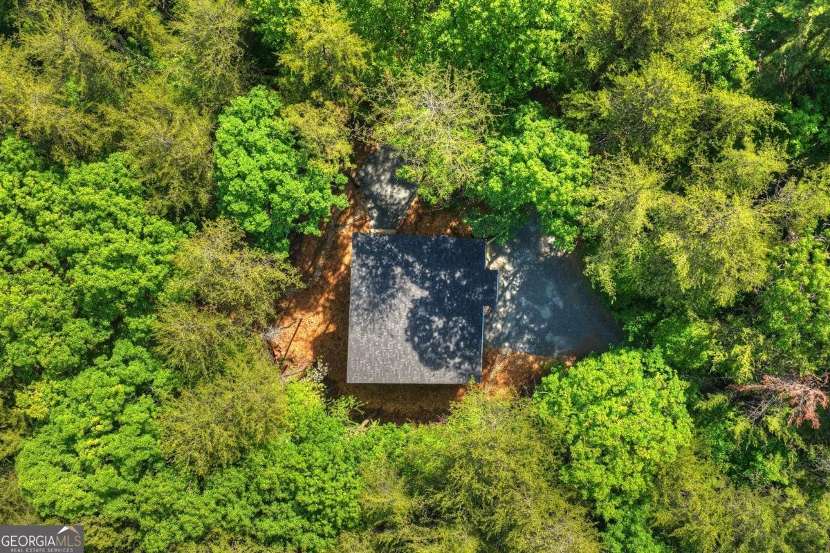 328 Crabapple Drive Blue Ridge - Photo 63