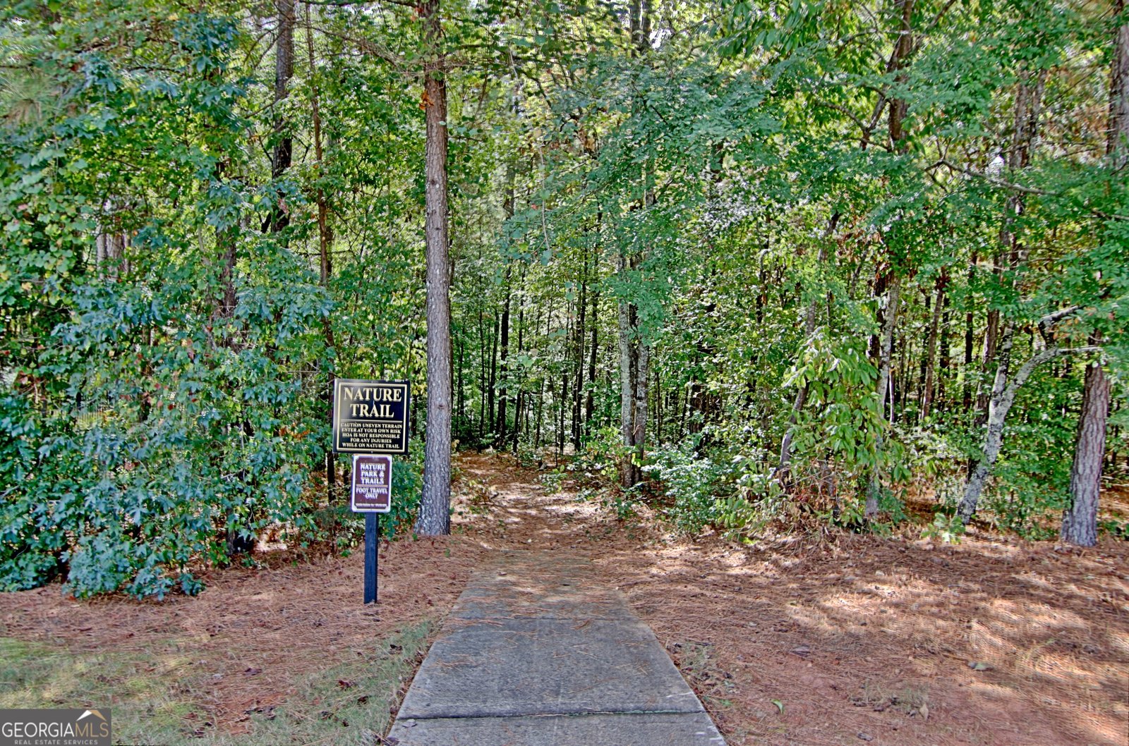 63 Stonebridge Crossing Newnan - Photo 10