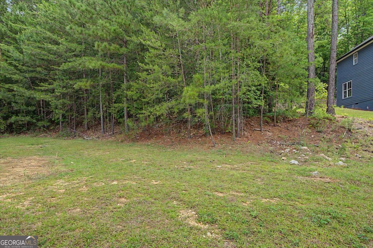 116 Autumn Path Rockmart - Photo 33