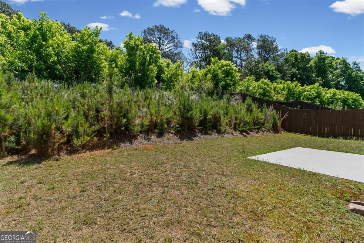 61 Pointe Place Dawsonville - Photo 38